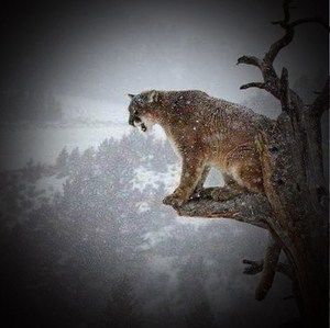 Meet your Posher, Jeffery